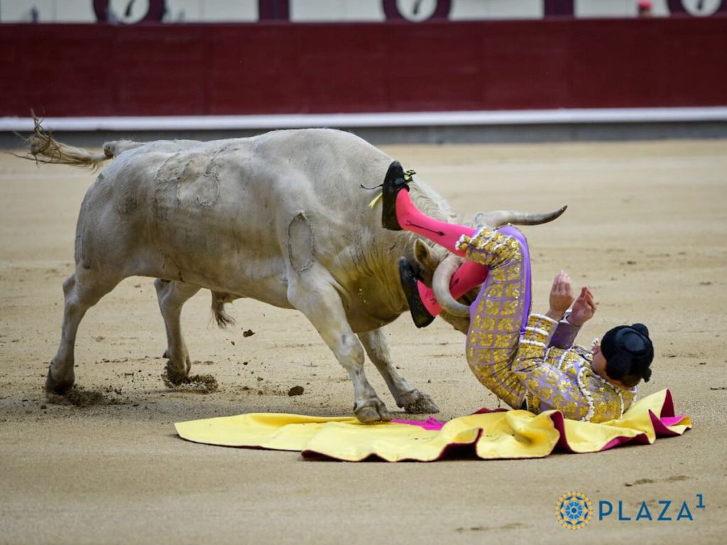 Terrible cogida al albaceteño Jesús Moreno en Las Ventas, imágenes y parte  médico