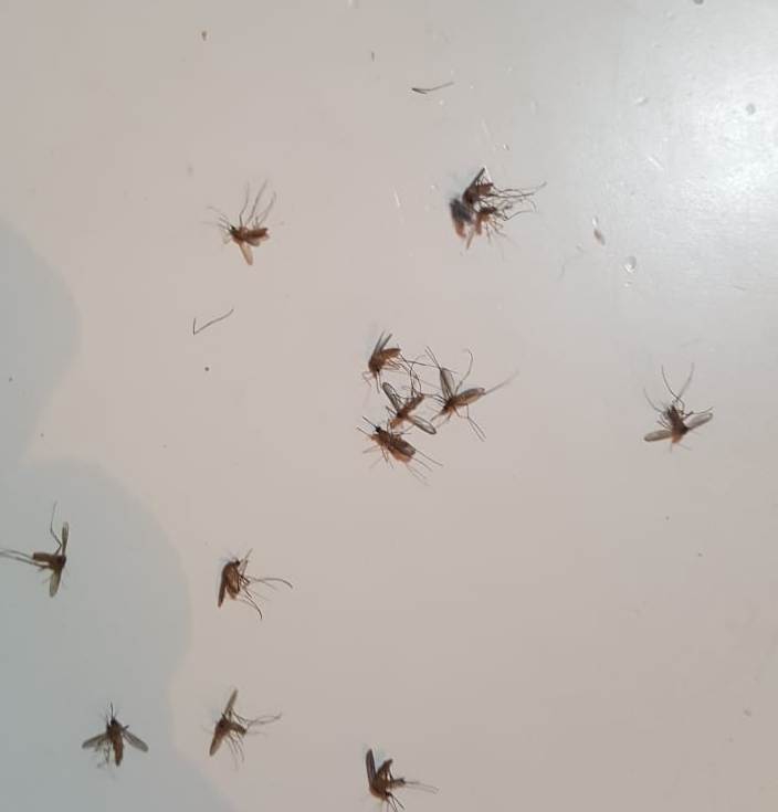 d2898972f2ba40fcd7ce2597a6934fd5-a6b