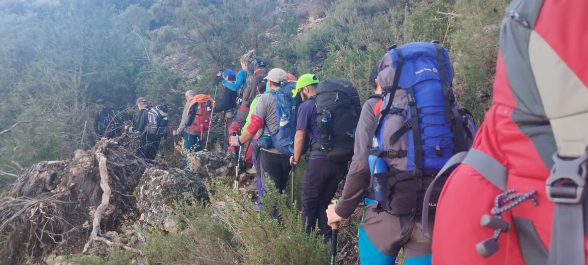 2328d08927ae5806d0e6cb8eeb1383a2-e5a