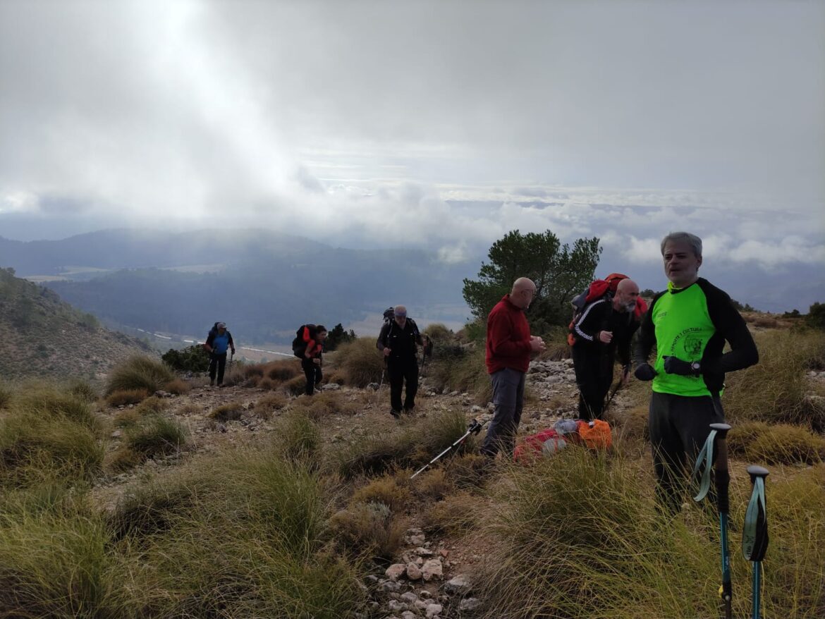 f541f110ecc1b45314a4629df419313e-369