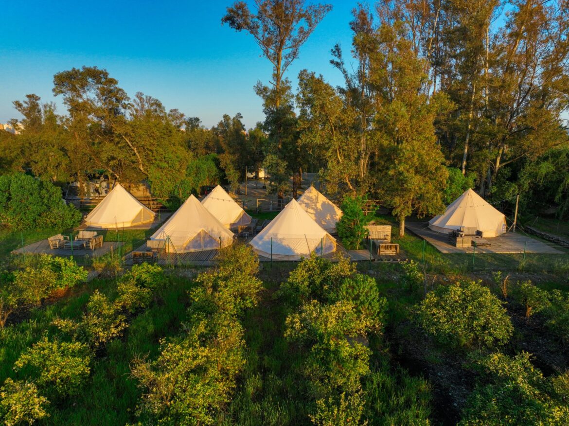 1771ec7b44da330164d289fe935321e6-1ae