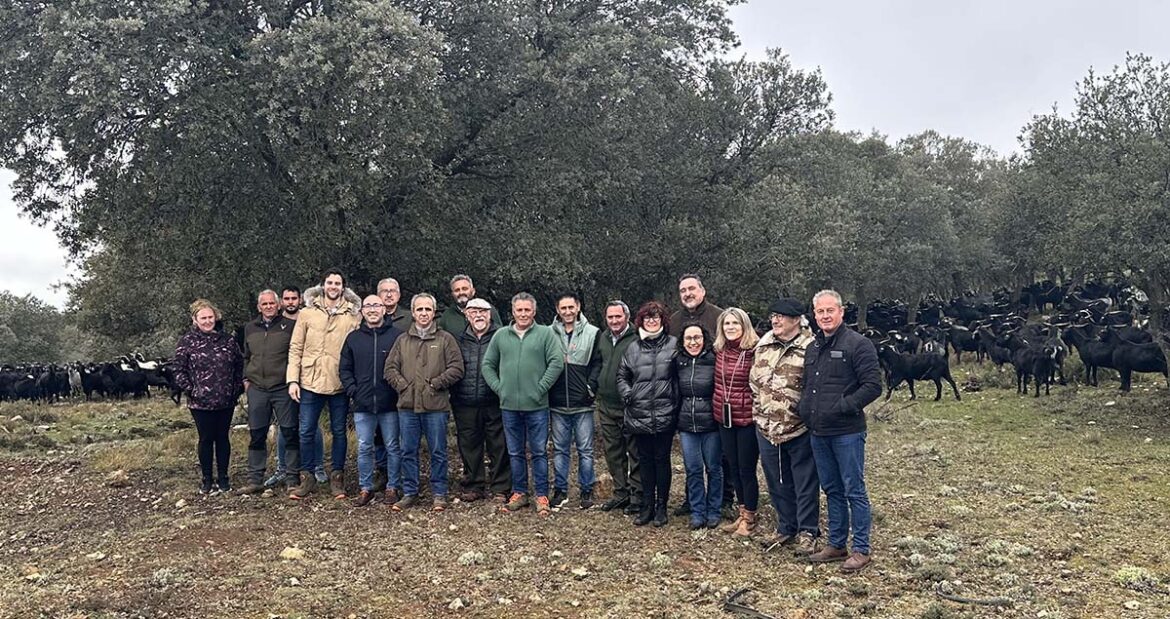 2ba2bbf7ec59a62f10333465a70b22ed-735