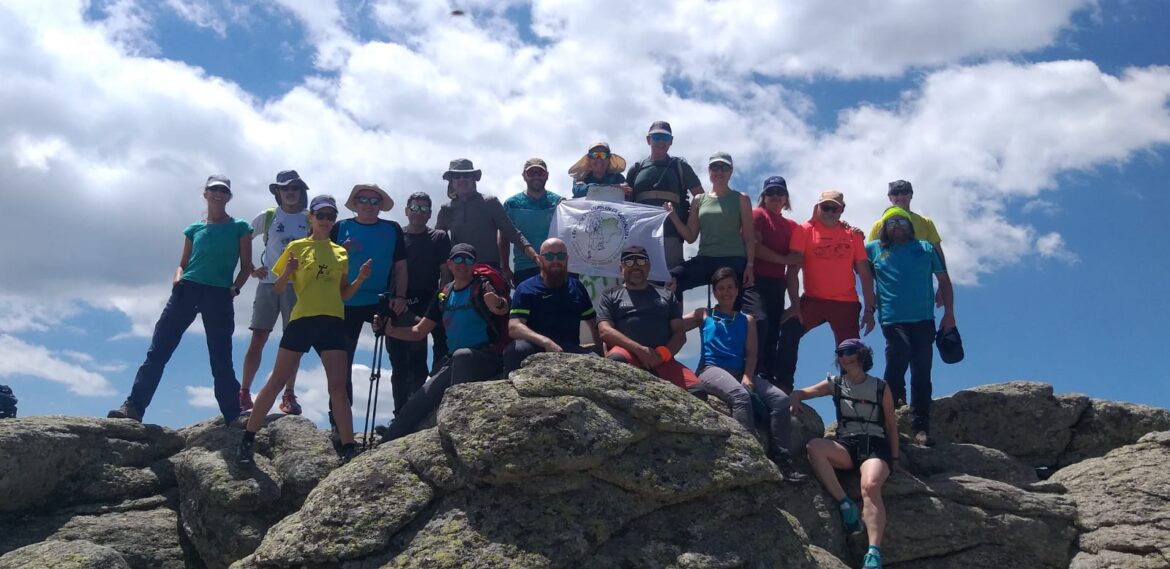 9ccfdaa3ebae00b5bd9065ecffc7969b-41e