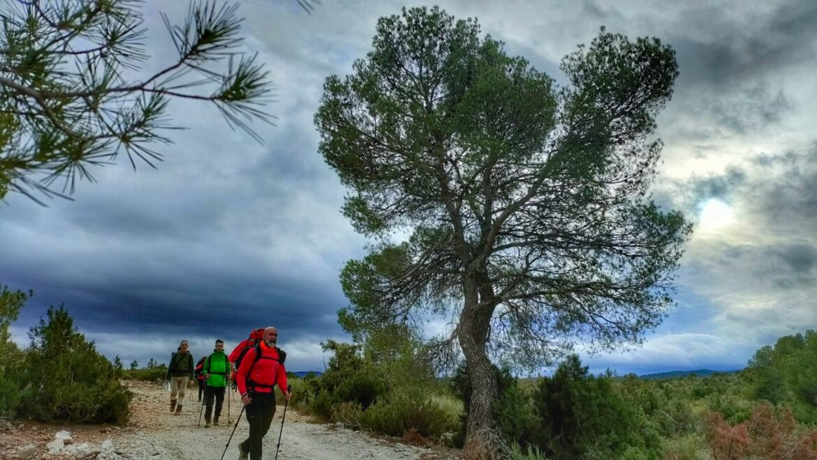 372b6824ef24bc796b5da0587abf7de6-10f