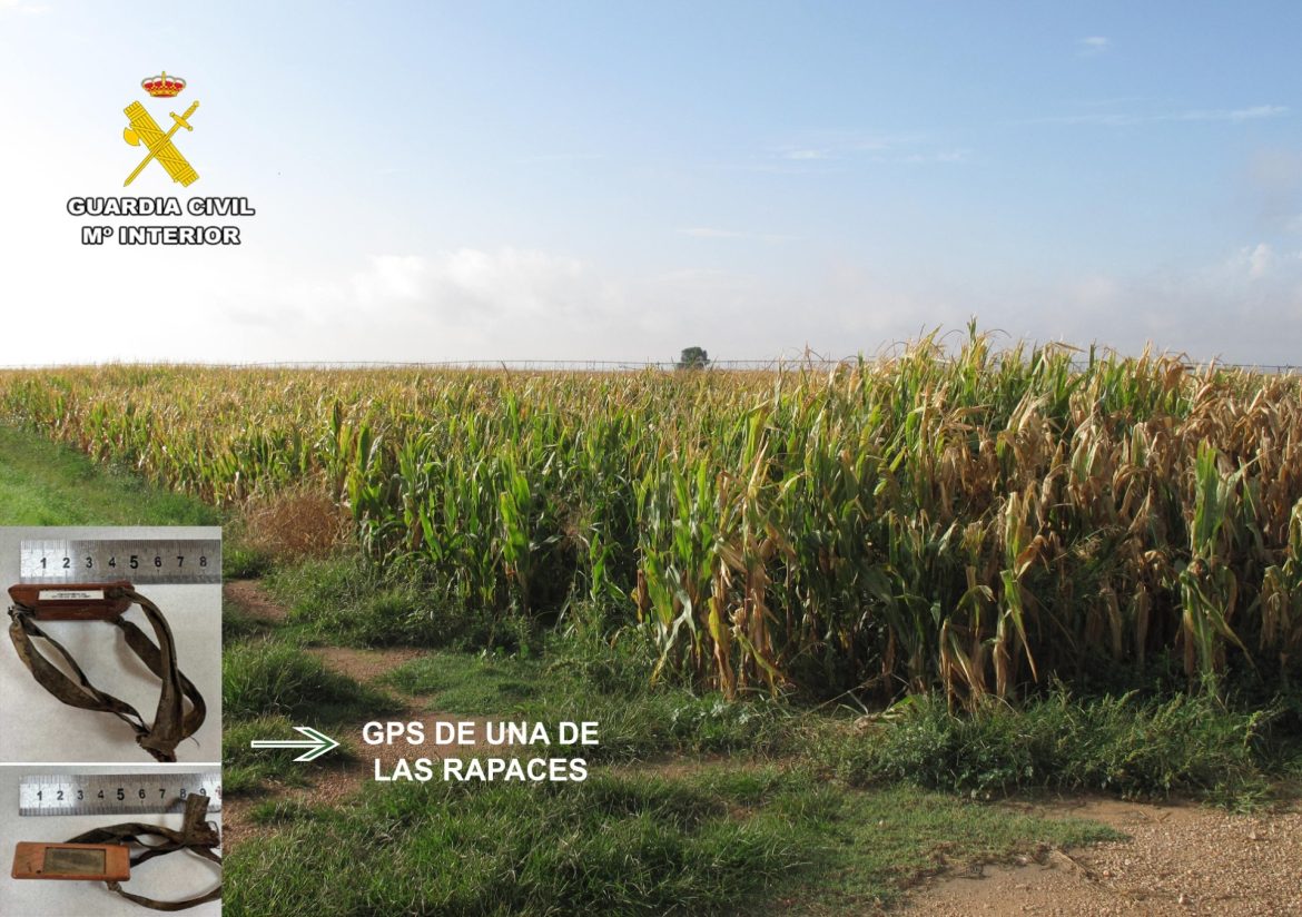 fadbf1f8f7173970f0963be15bb0ac3d-c35