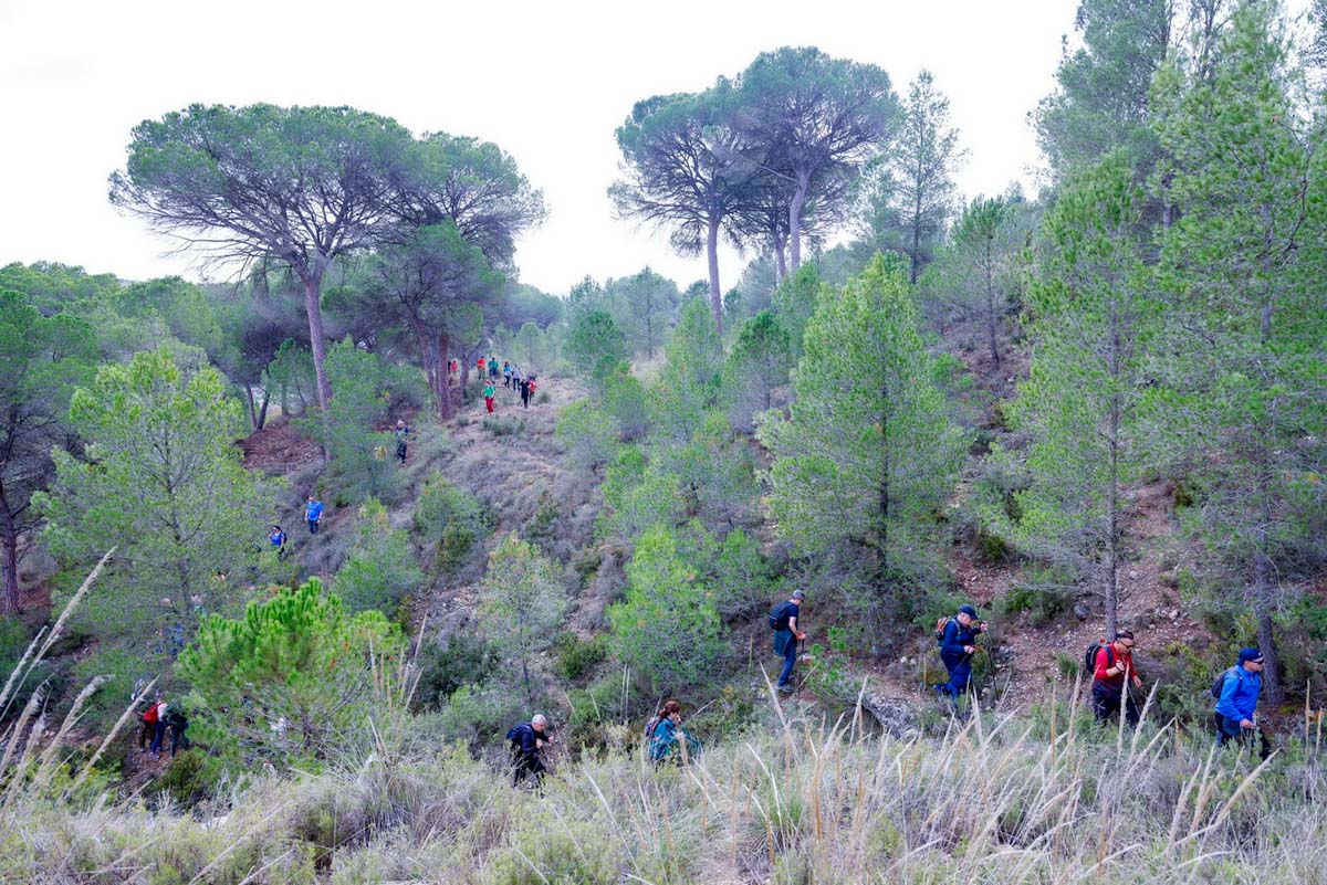 valdeganga (11)