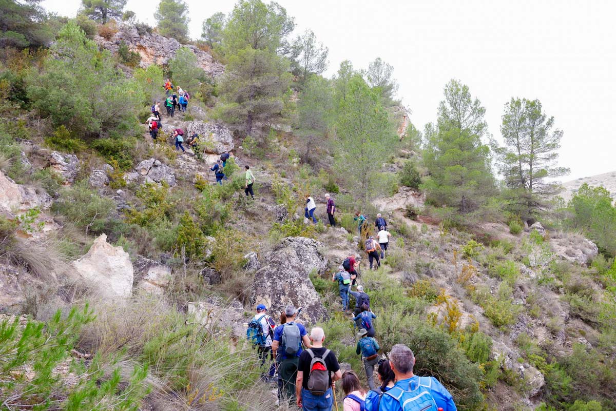 valdeganga (13)