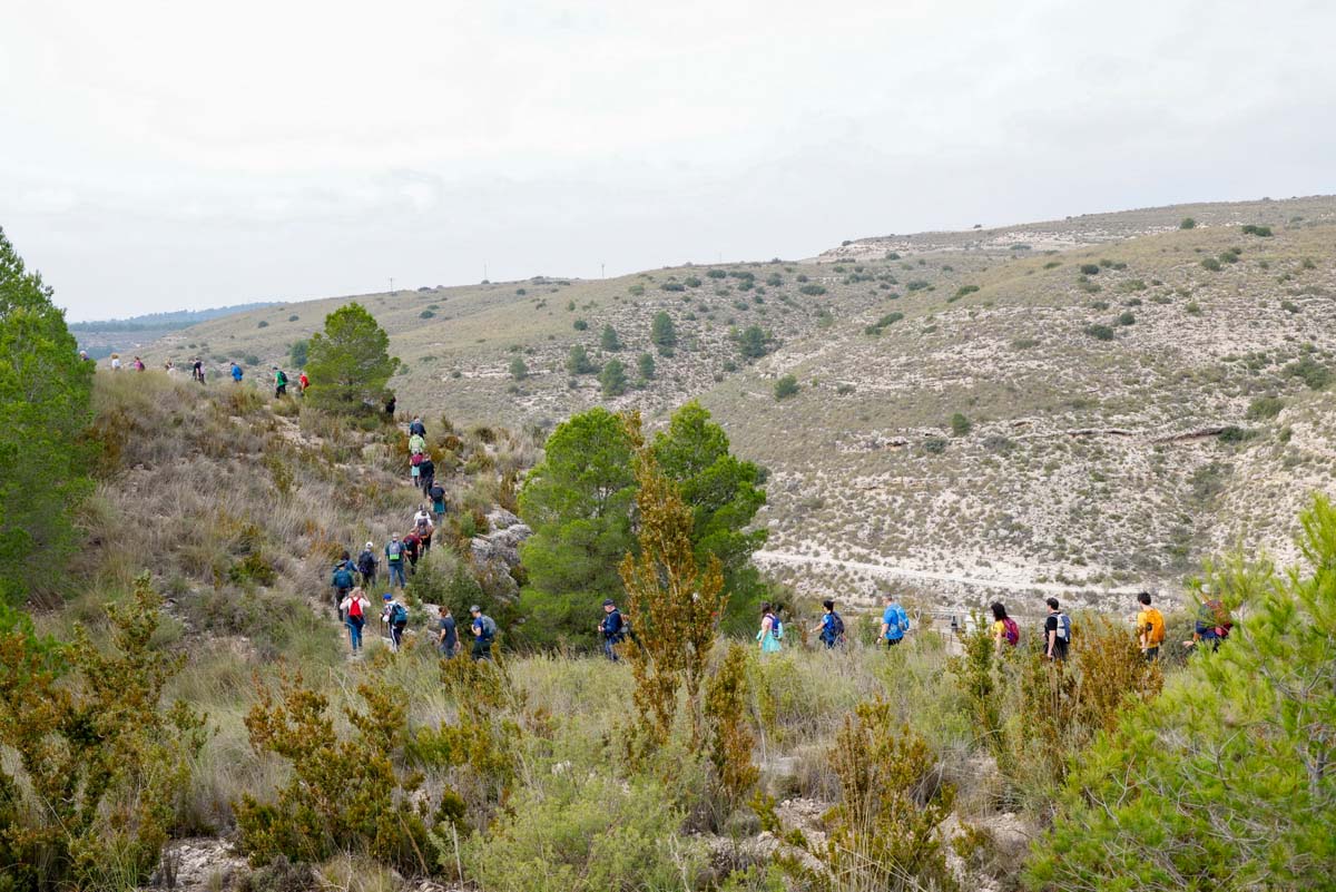 valdeganga (17)