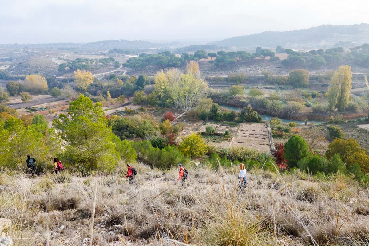 valdeganga (5)