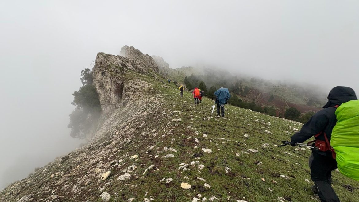 52b1e0453b6ee32e7d8bcc69f9dd5380-021