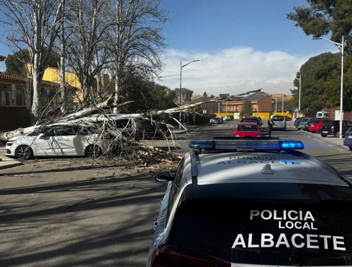 El temporal Herminia deja numerosos destrozos en Albacete.