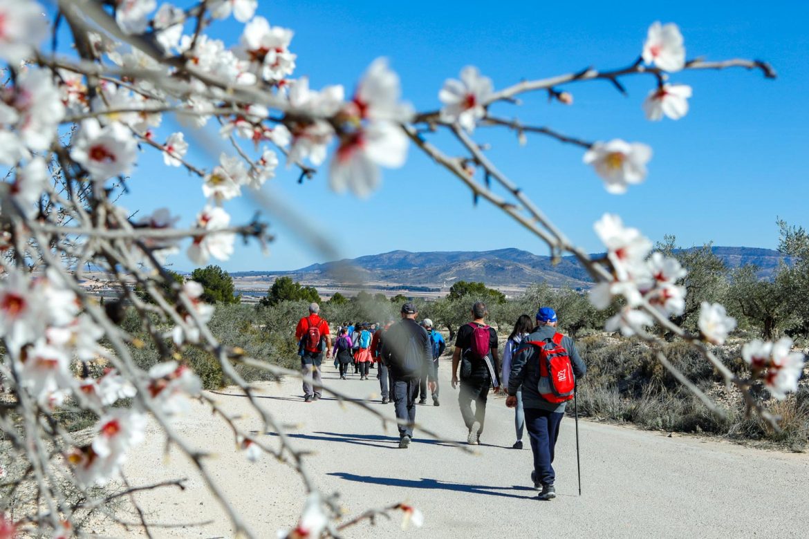 Caudete, ya con los almendros en flor, cautivó en las Rutas de Senderismo de la Diputación