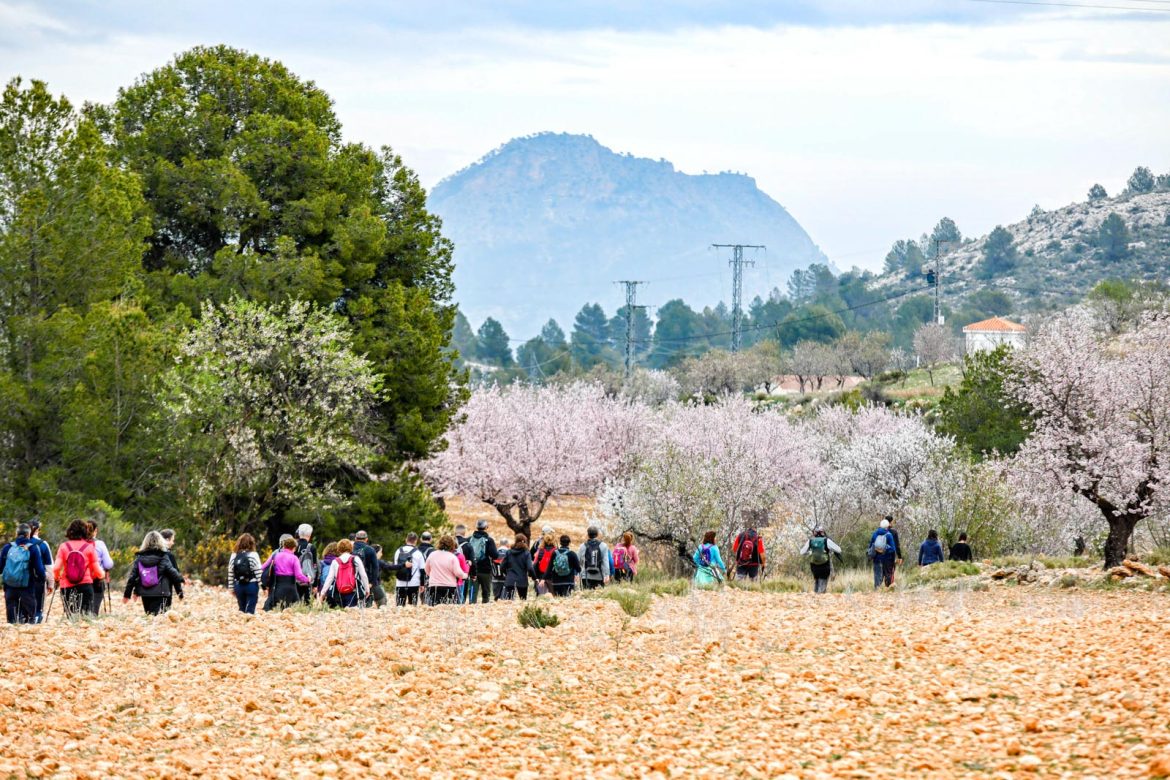 Férez VI ruta senderista de la Diputación Provincial de Albacete, en Férez