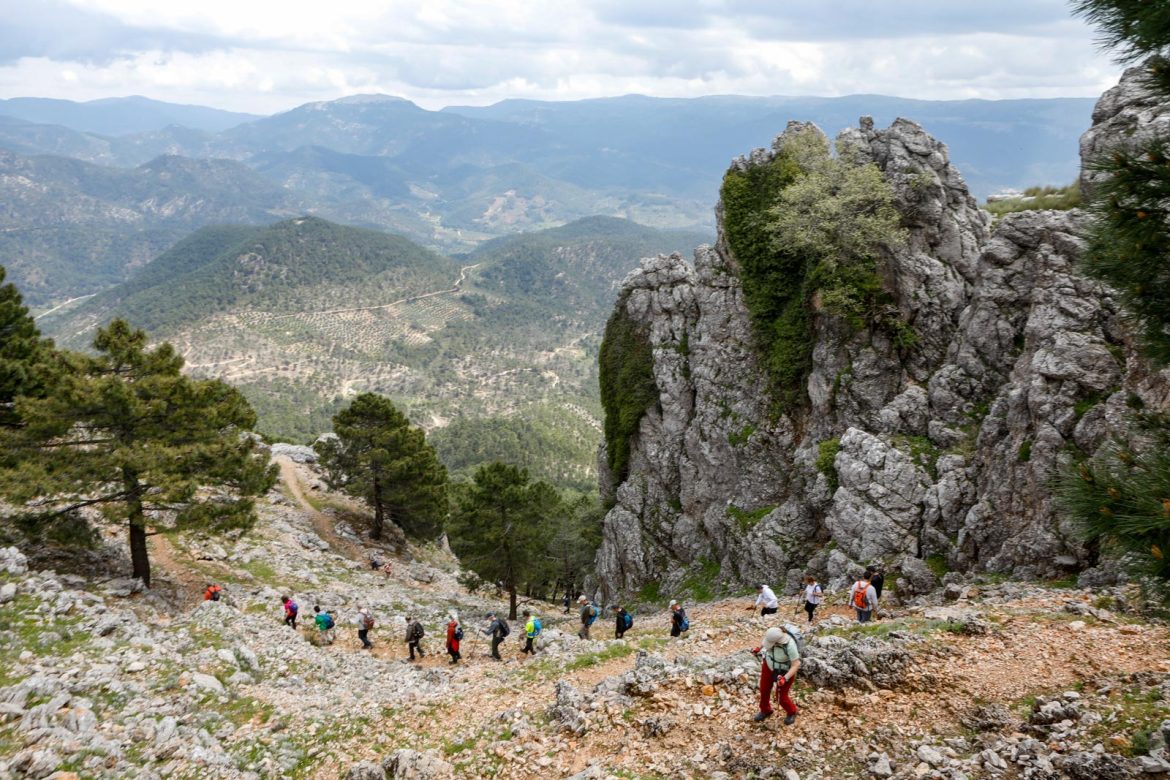 Villaverde de Guadalimar Rutas de senderismo de la Diputación Provincial de Albacete