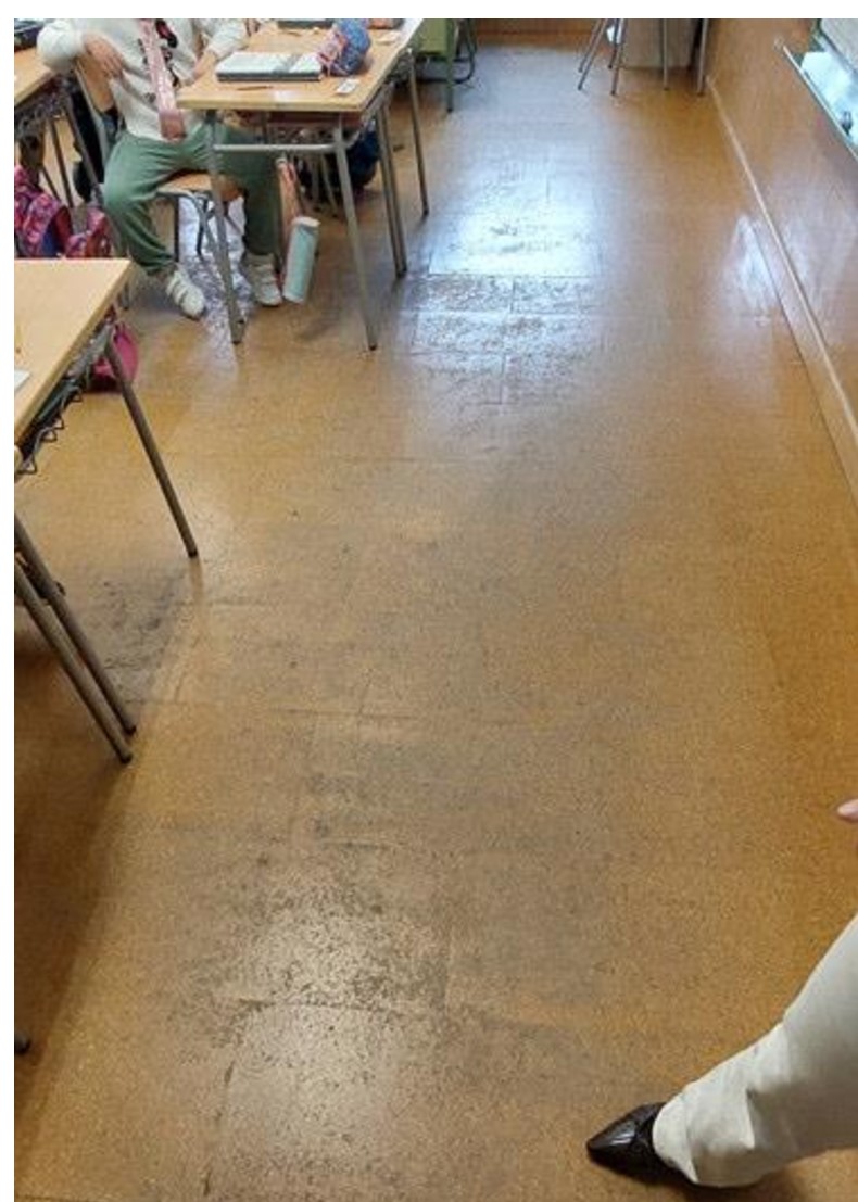 El concejal de Educación, Pascual Molina, ha informado de los trabajos de adecuación y mejora que va a llevar a cabo el Ayuntamiento en diez aulas de cuatro colegios de la ciudad, con una inversión total de 33.880 euros,
Se trata de los colegios de Educación Infantil y Primaria San Pablo, Isabel Bonal, Diego Velázquez y Cristóbal Valera