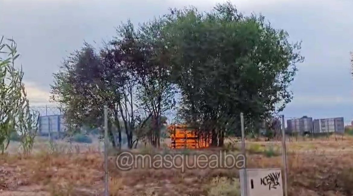 Bomberos de Albacete han tenido que actuar, poco antes de las siete de esta tarde, en un incendio en un solar por el barrio Universidad.