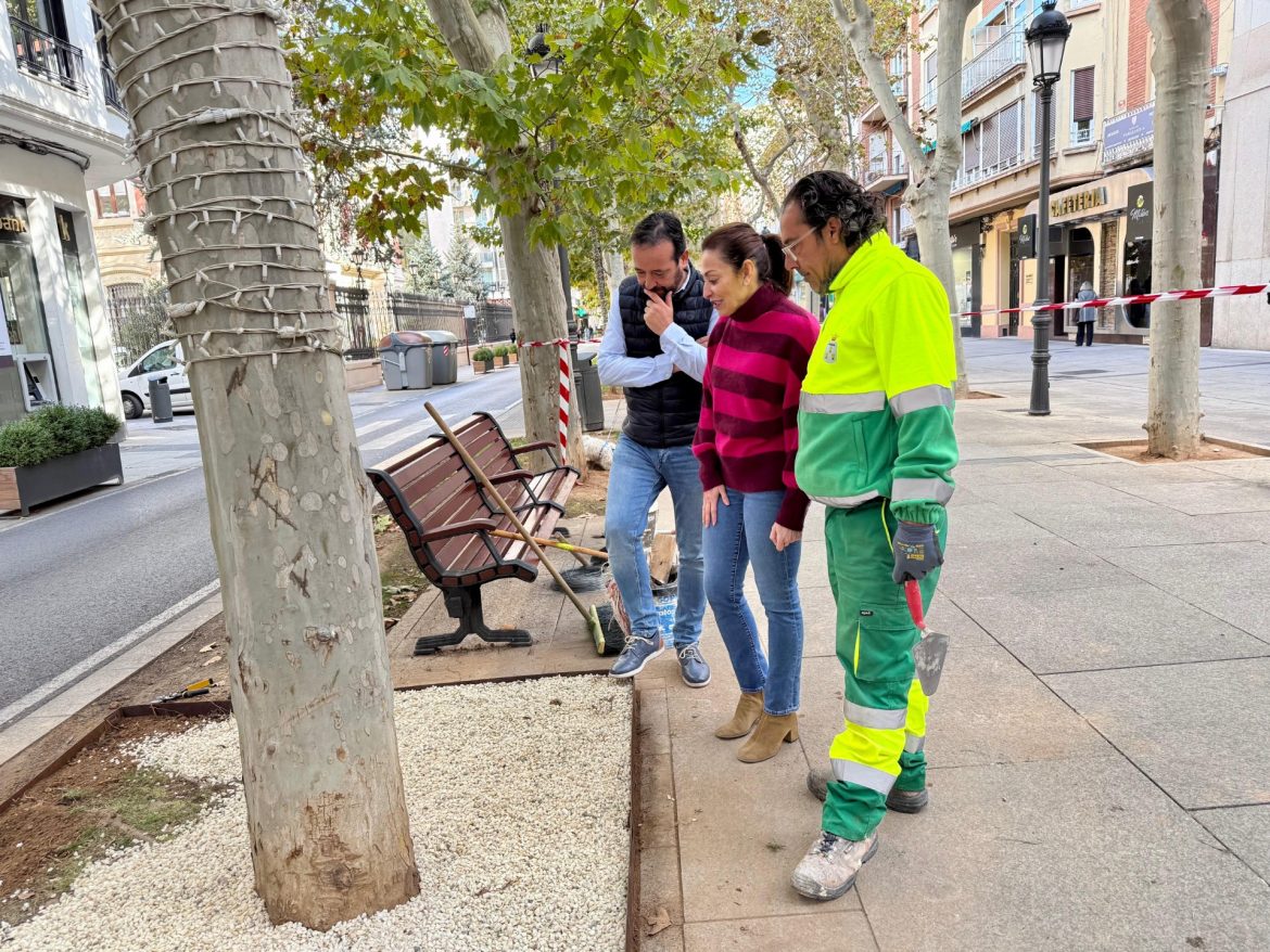 mejoras paseo libertad