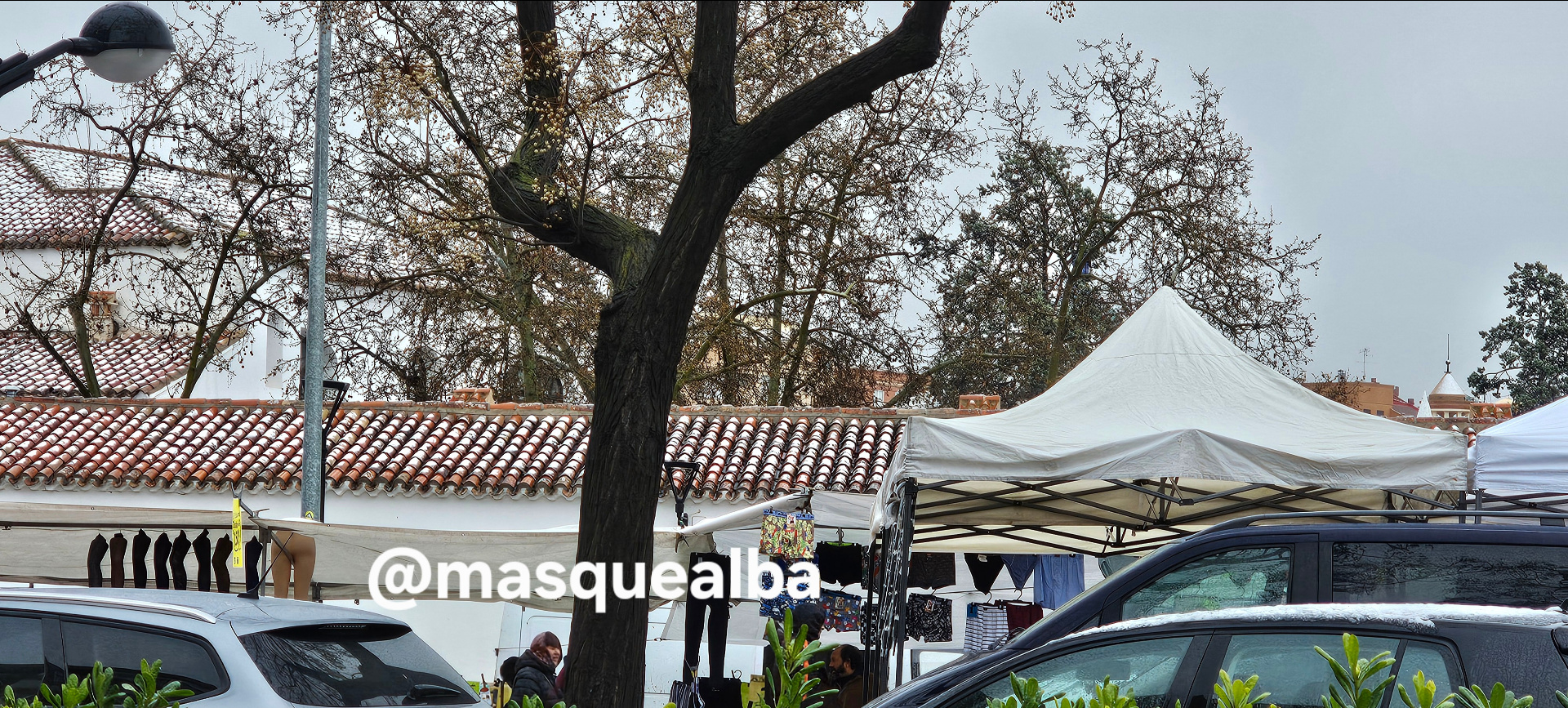 La imagen actual no tiene texto alternativo. El nombre del archivo es: IMG_20260310_102134.jpg